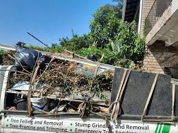 Trusted Lathrop, MO Junk Removal Services Experts